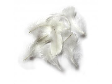 Pióra gęsie BIAŁE MLECZNE...