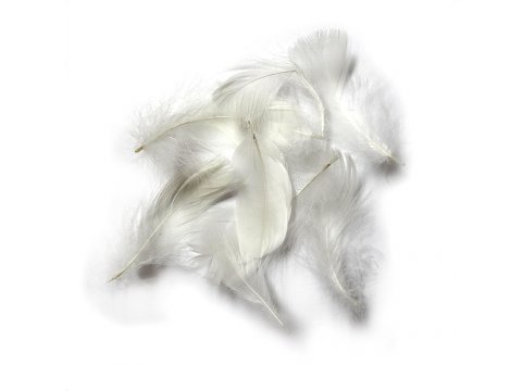 Pióra gęsie BIAŁE MLECZNE OFF WHITE cena za 1 opk 50g piórka drobne luzem około 1000 sztuk do ozdabiania sklep GOLD-POL