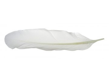 Pióra gęsie BIAŁY MLECZNY...