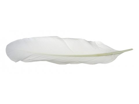 Pióra gęsie BIAŁY MLECZNY OFF WHITE cena za 1 opk 20 SZTUK piórka lotki sztywne luzem do ozdabiania sklep warszawa