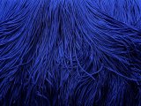 Frędzle 15cm 204 ROYAL BLUE DARK CIĘTE na metry cena za 1m taneczne acetatowe długie na taśmie sklep GOLD-POL Warszawa