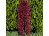 Szal boa Bordo Bakłażan 2 ply elegancki pióra strusie 1szt/ 1,8m 2PLY dwie warstwy piór strusia najlepsza jakość na rynku