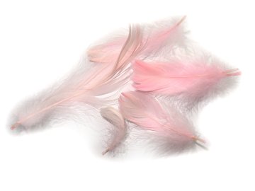 Pióra gęsie PASTELOWY RÓŻ...