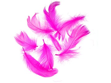 Pióra gęsie FUKSJA cena za...