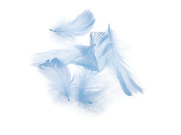 Pióra gęsie BŁĘKITNY BARDZO...