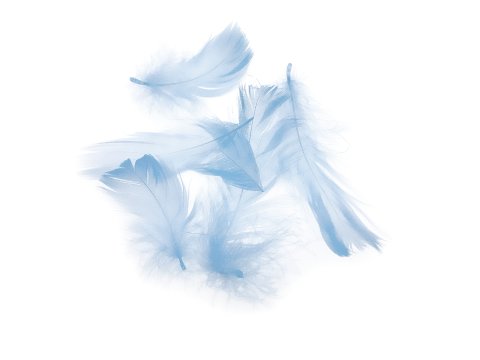 Pióra gęsie BŁĘKITNY BARDZO JASNY cena za 1 opk 50g piórka drobne luzem około 1000 sztuk do ozdabiania sklep GOLD-POL