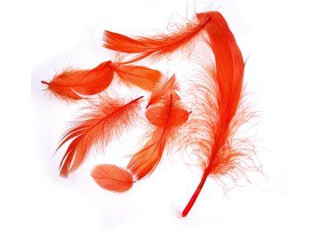 Pióra gęsie ORANGE KAROTKA...