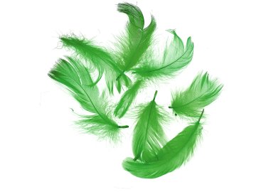 Pióra gęsie ZIELONY KIWI...