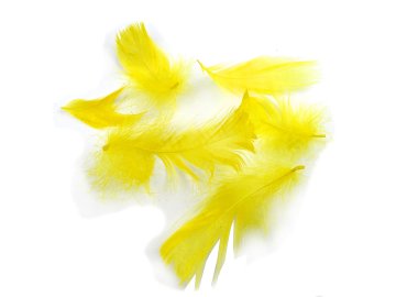 Pióra gęsie ŻÓŁTA CYTRYNA...