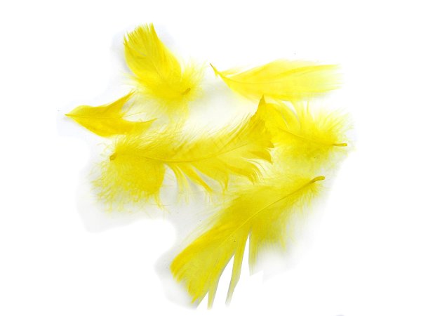 Pióra gęsie ŻÓŁTA CYTRYNA cena za 1 opk 50g piórka drobne luzem około 1000 sztuk do ozdabiania sklep wars