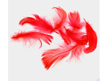 Pióra gęsie CZERWONY...