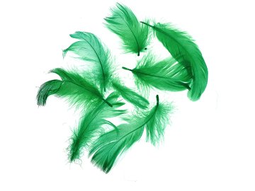 Pióra gęsie TRAWA ZIELONY...