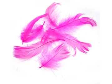 Pióra gęsie RÓŻOWY OSTRY...