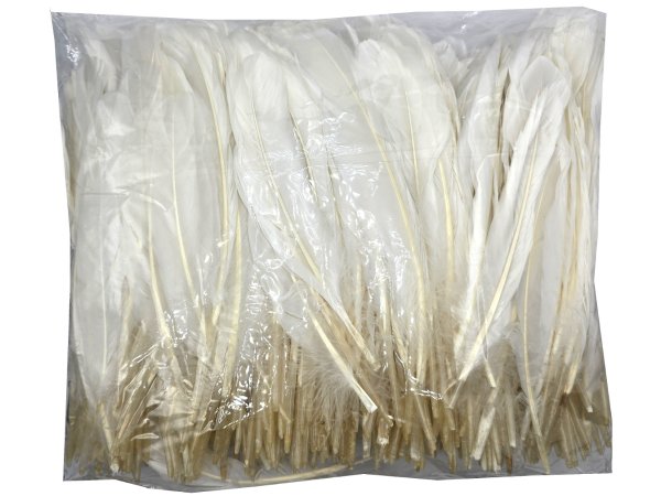 Pióra gęsie BIAŁY MLECZNY cena za HURT opk 250g około 600-700 szt piórka lotki sztywne luzem do ozdabiania sklep warszawa