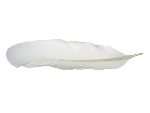 Pióra gęsie BIAŁY MLECZNY cena za HURT opk 250g około 600-700 szt piórka lotki sztywne luzem do ozdabiania sklep warszawa