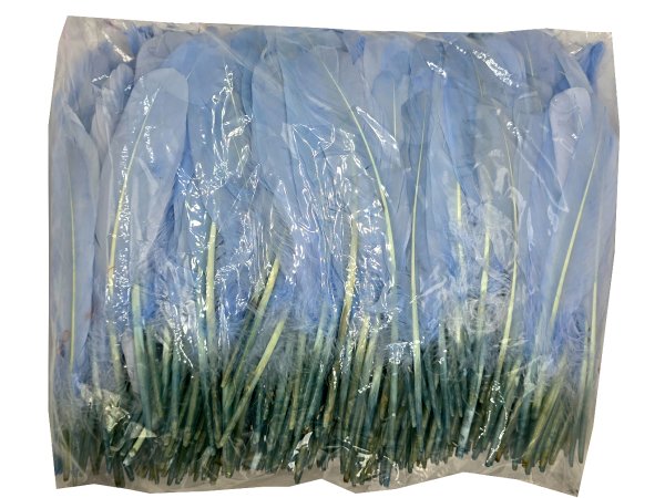Pióra gęsie BŁĘKITNY JASNY cena za HURT opk 250g około 600-700 szt piórka lotki sztywne luzem do ozdabiania sklep warszawa