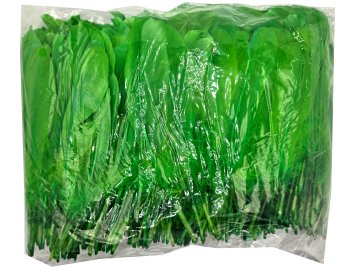 Pióra gęsie KIWI ZIELONY...