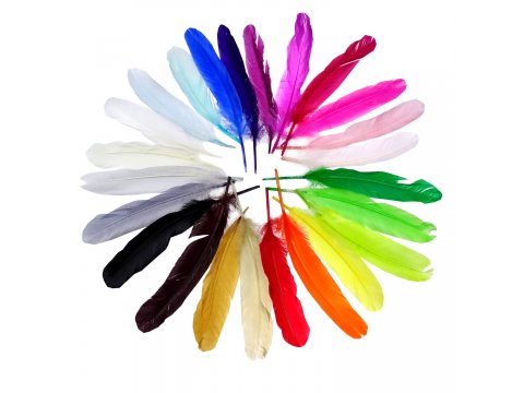 Pióra gęsie BEŻ CIELISTY cena za HURT opk 250g około 600-700 szt piórka lotki sztywne luzem do ozdabiania sklep warszawa