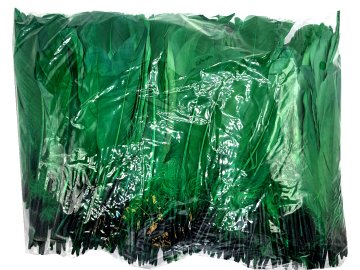 Pióra gęsie TRAWA ZIELONY...