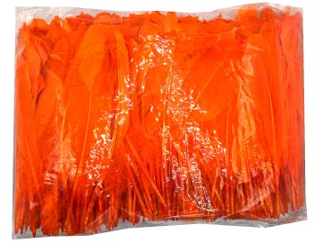 Pióra gęsie ORANGE...