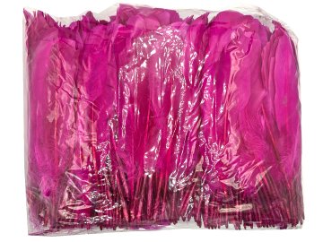 Pióra gęsie FUKSJA cena za...